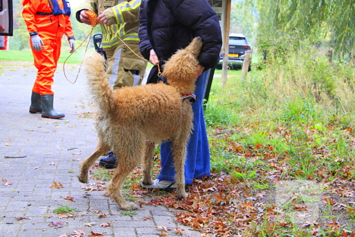 Hondje Rex gered uit water