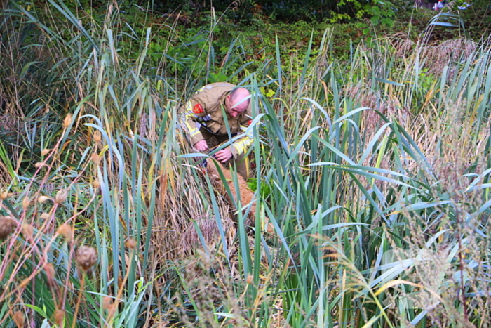 Hondje Rex gered uit water