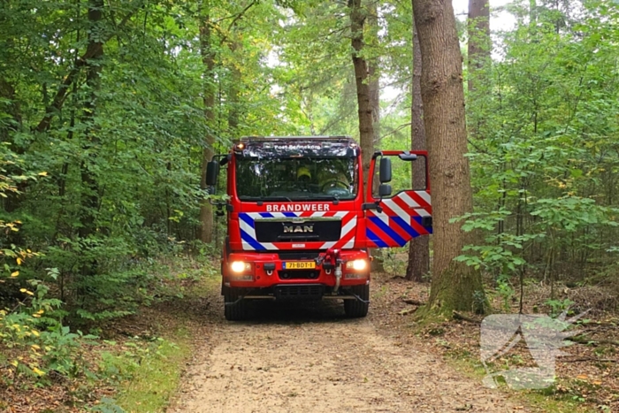 Brand in bosgebied snel geblust