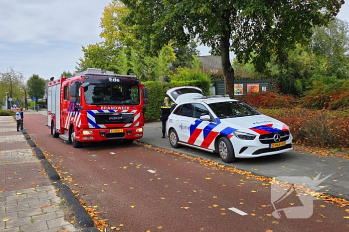 Brand in bijgebouw snel onder controle