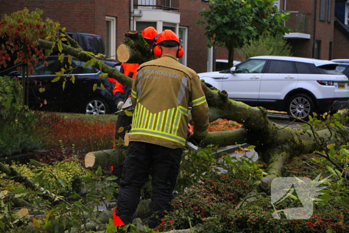 Mussenberg Weert 112 