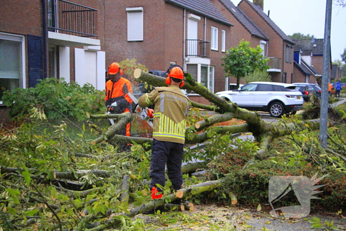 Storm veroorzaakt schade door omgevallen boom