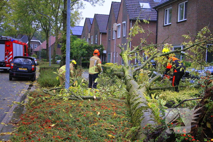 Storm veroorzaakt schade door omgevallen boom