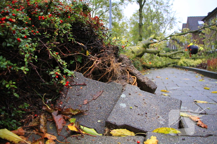 Storm veroorzaakt schade door omgevallen boom