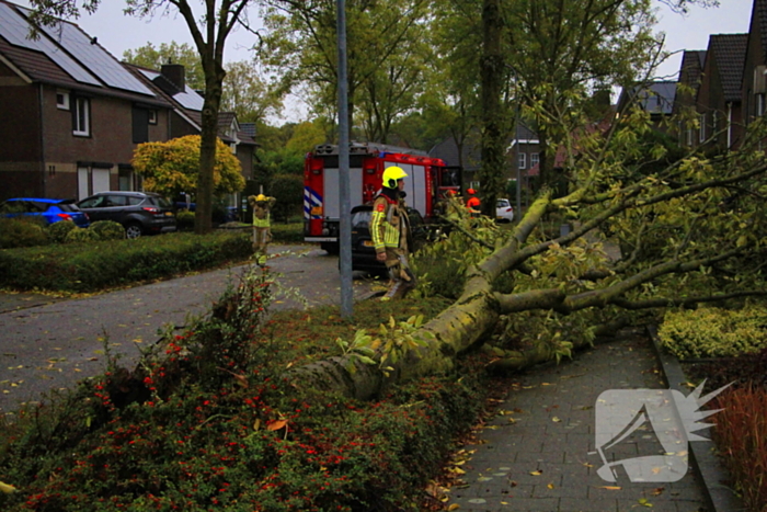Storm veroorzaakt schade door omgevallen boom