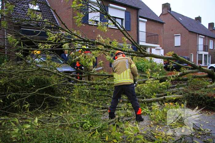 Storm veroorzaakt schade door omgevallen boom