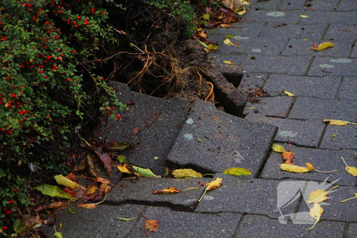 Storm veroorzaakt schade door omgevallen boom