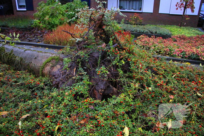 Storm veroorzaakt schade door omgevallen boom