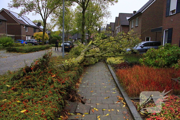 Storm veroorzaakt schade door omgevallen boom