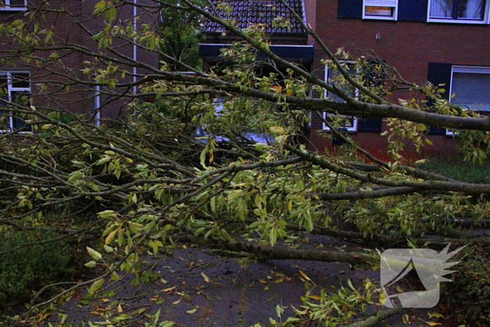 Storm veroorzaakt schade door omgevallen boom