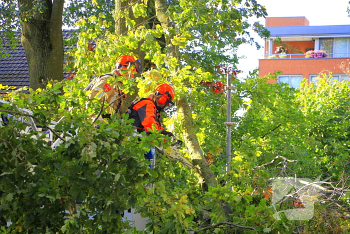 Storm veroorzaakt schade door afgebroken takken