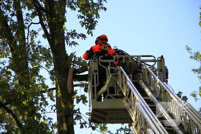 Storm veroorzaakt schade door afgebroken takken