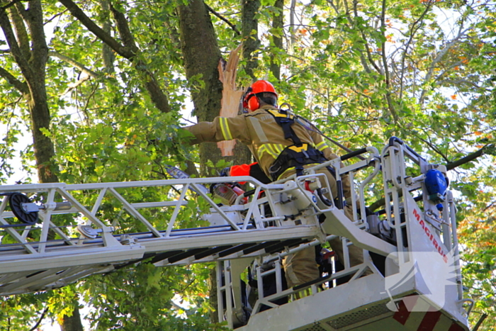 Storm veroorzaakt schade door afgebroken takken