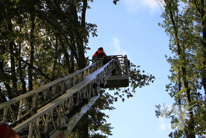 Storm veroorzaakt schade door afgebroken takken