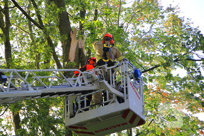 Storm veroorzaakt schade door afgebroken takken