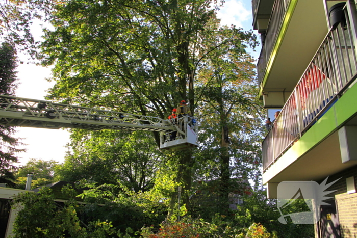 Storm veroorzaakt schade door afgebroken takken