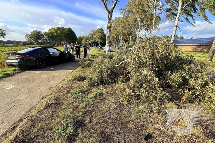 Auto vliegt uit de bocht en botst tegen boom