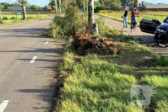 Auto vliegt uit de bocht en botst tegen boom