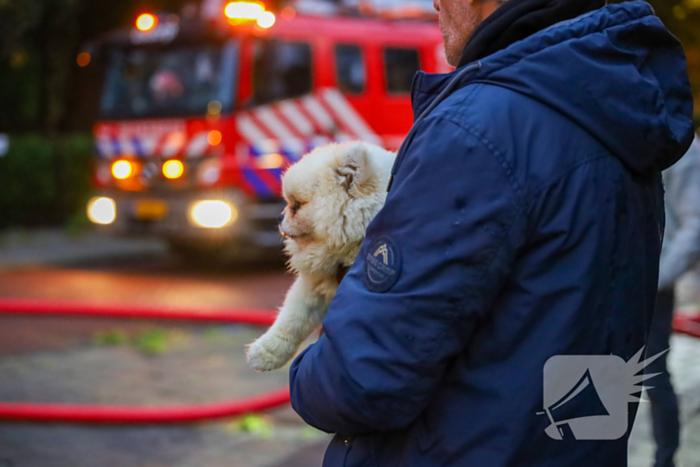 Dode bij grote brand in flat, brandweerlieden onwel