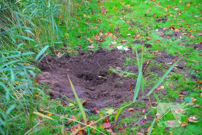 Explosieven gevonden nabij speeltuin