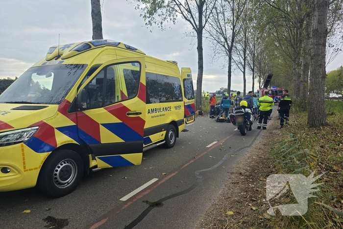 Zwaargewonde na botsing tegen boom