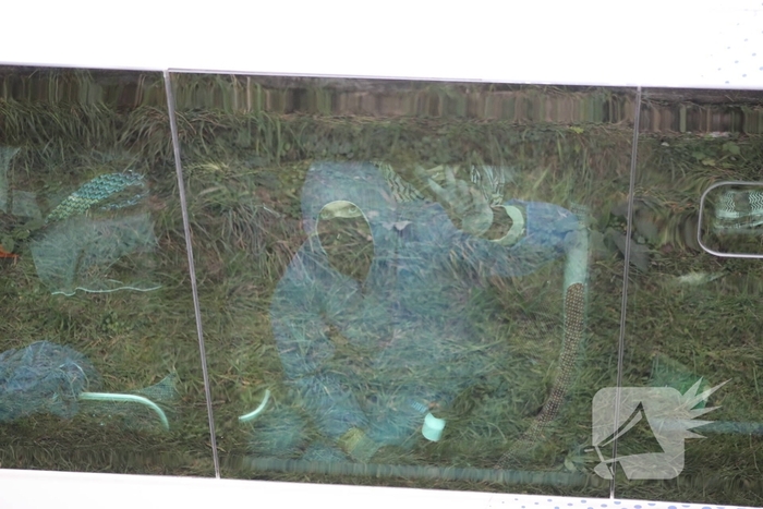 Demonstranten bezetten havenspoorlijn