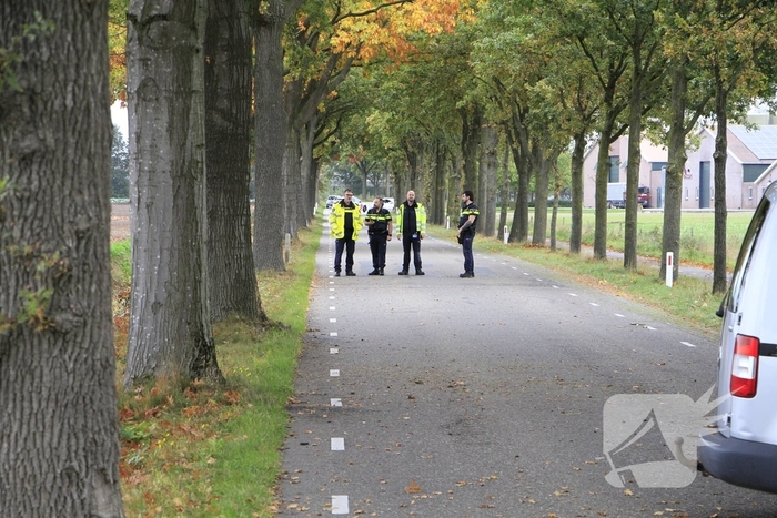 Bestelbus botst tegen boom