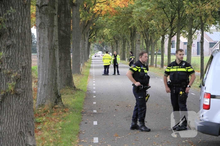 Bestelbus botst tegen boom