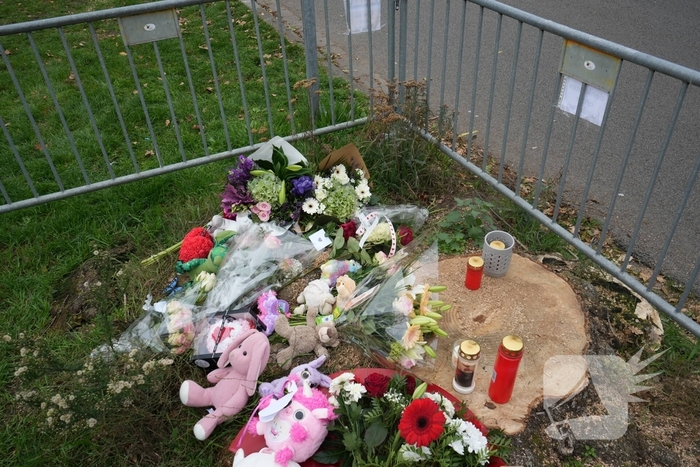 Herdenkingsplek groeit gestaag