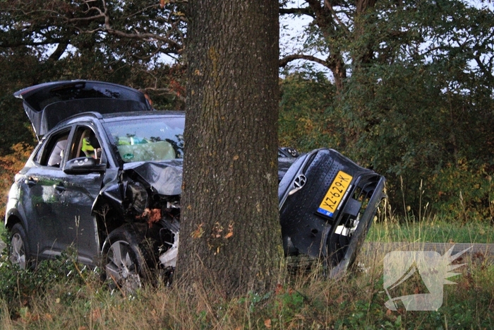Auto raakt van weg en knalt tegen boom