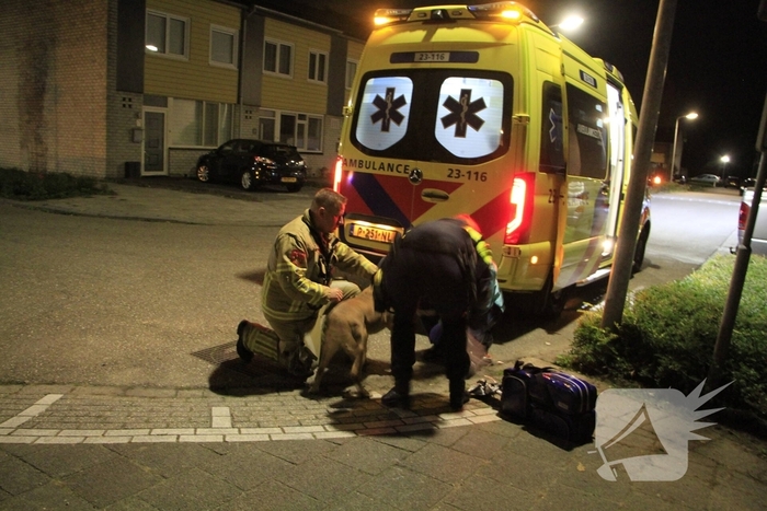 Brand in woning door pan op het vuur