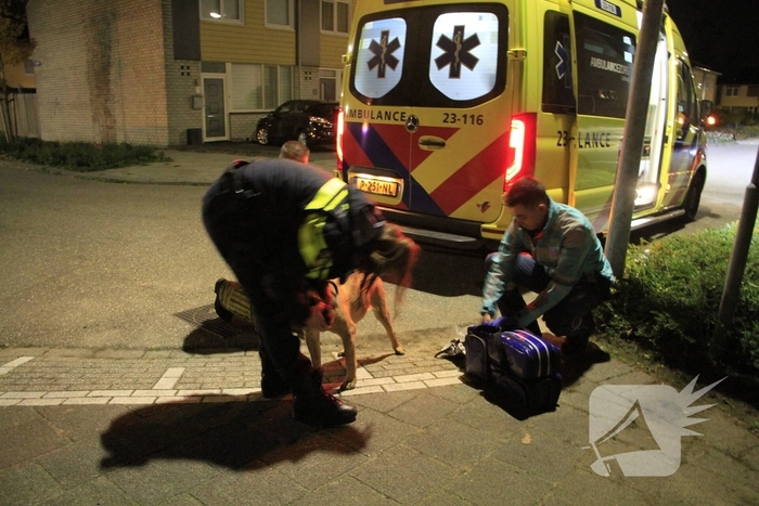 Brand in woning door pan op het vuur