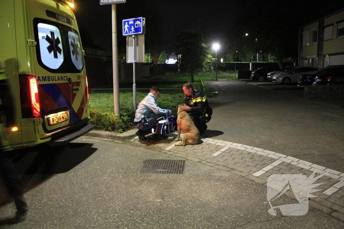 Brand in woning door pan op het vuur