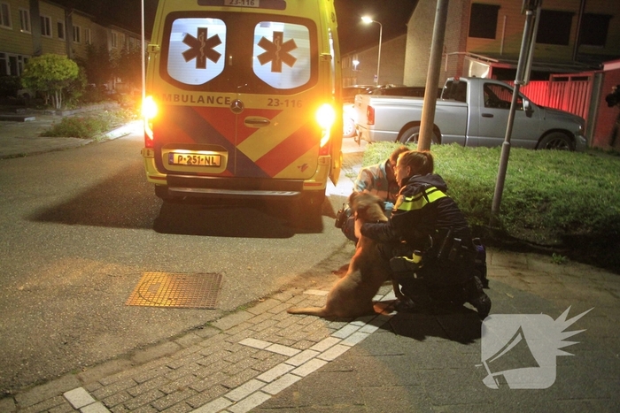 Brand in woning door pan op het vuur