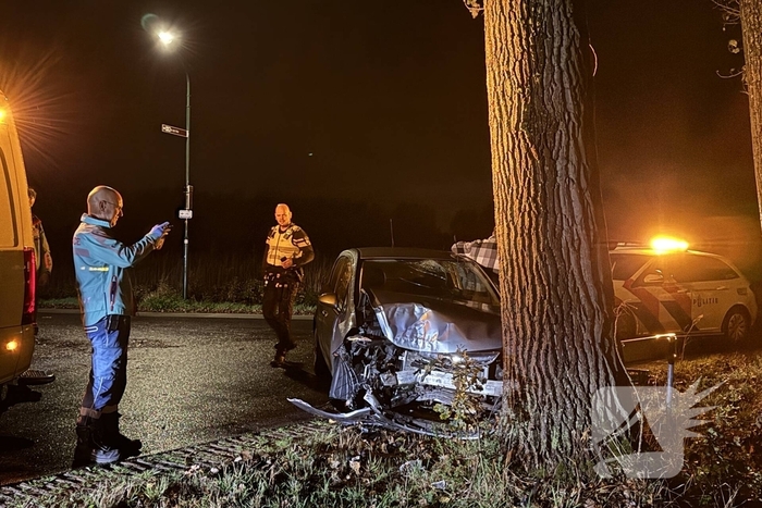 Automobilist botst tegen boom en raakt gewond