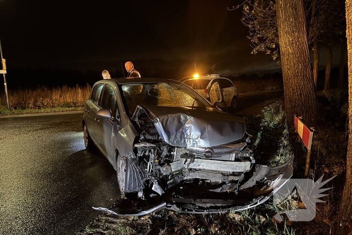 Automobilist botst tegen boom en raakt gewond