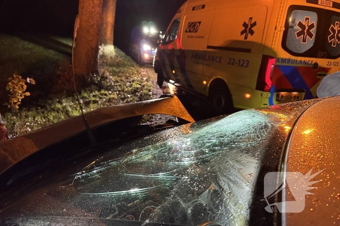 Automobilist botst tegen boom en raakt gewond