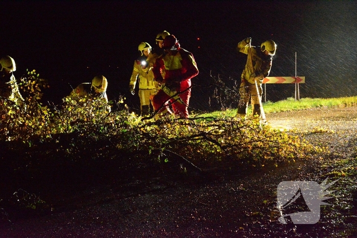 Boom waait om en belandt op weg