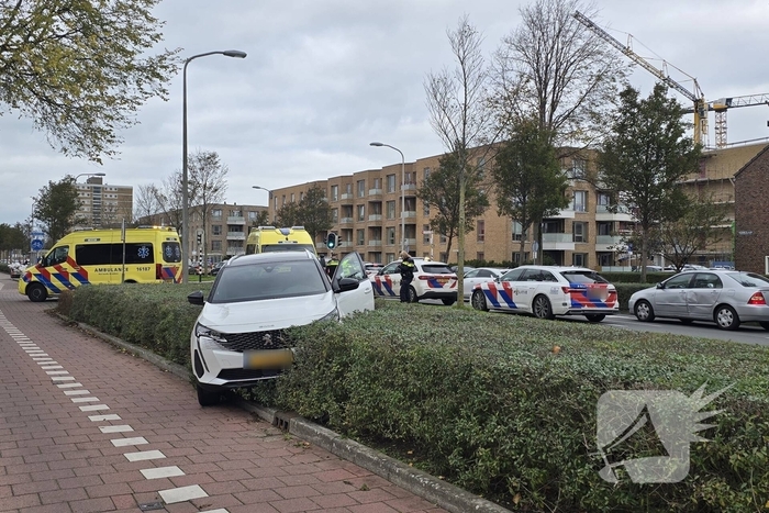 Auto belandt in bosschages