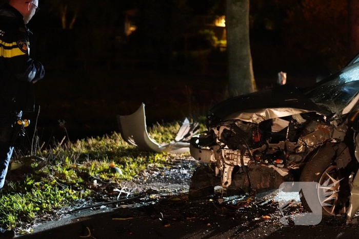 Auto botst tegen boom, bestuurder gewond