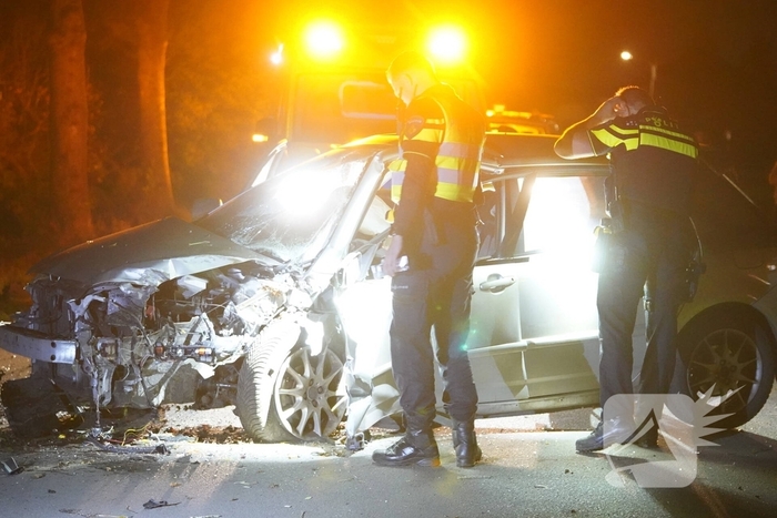 Auto botst tegen boom, bestuurder gewond