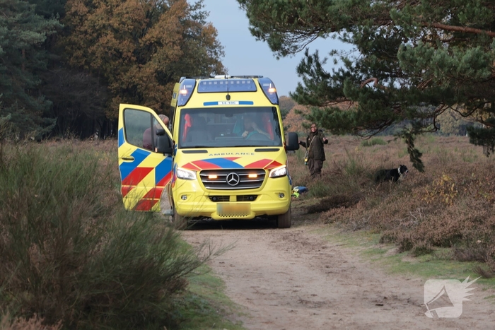 Ruiter valt van paard, hulpdiensten ingeschakeld