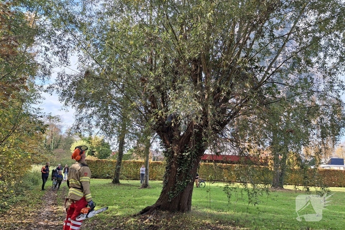 Boombrand trekt publiek