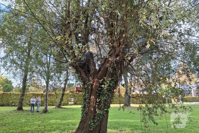 Boombrand trekt publiek