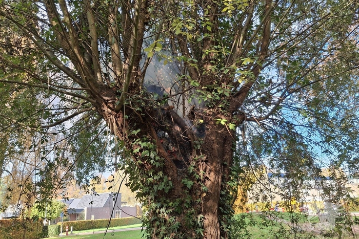 Boombrand trekt publiek