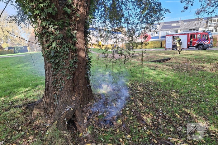 Boombrand trekt publiek