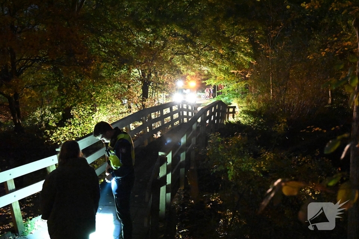 Hulpdiensten ingezet voor persoon te water