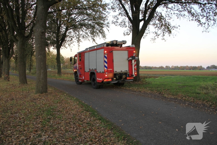 Paard vast tussen prikkeldraad