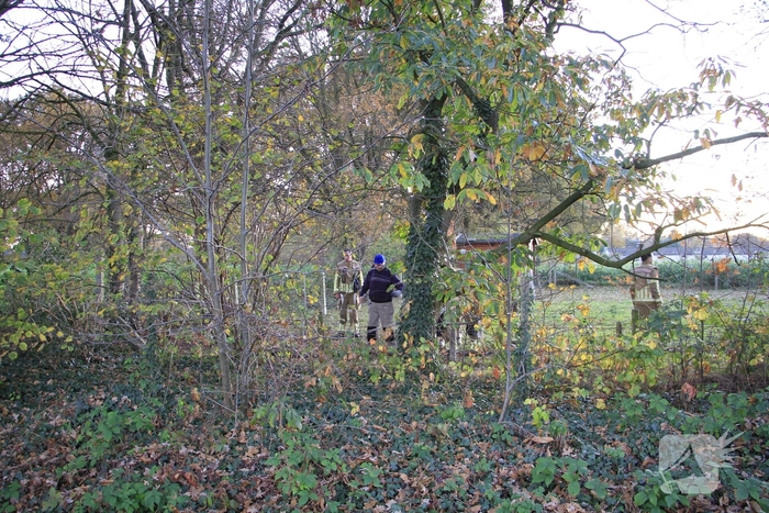 Paard vast tussen prikkeldraad