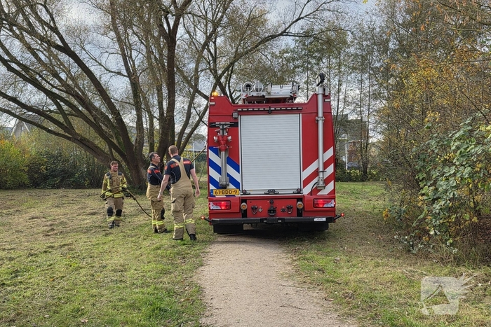 Brandweer blust brand in boomstronk
